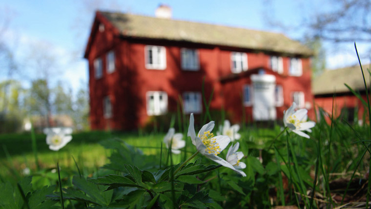 Småhusboomen fortsätter resten av våren