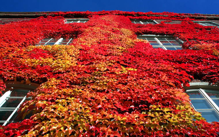 Marknaden i oktober