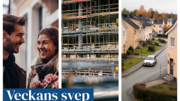 Veckans svep