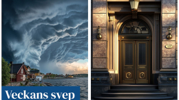 Veckans svep