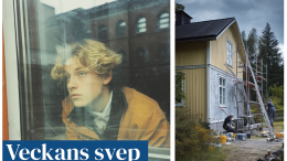 Veckans svep