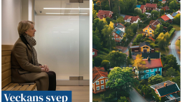 Veckans svep