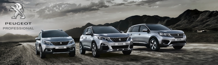 Peugeotbilar
