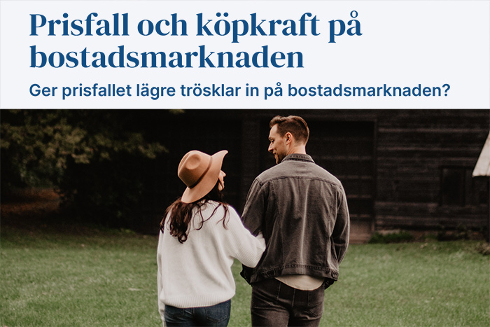 Rapport prisfall och köpkraft
