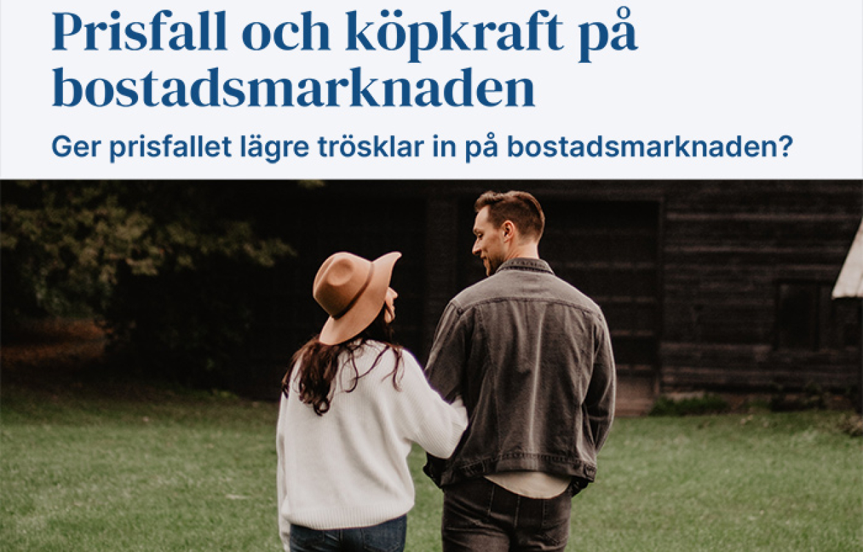 Rapport prisfall och köpkraft