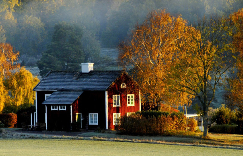 Glödhet skogsfastighetsmarknad