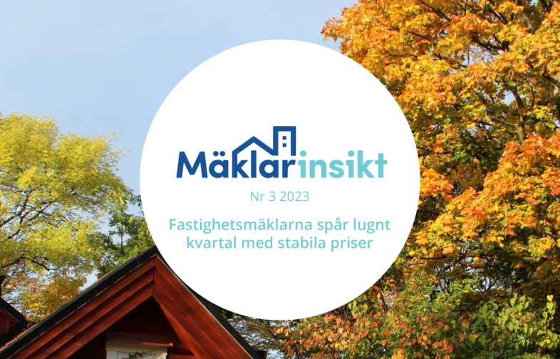 Mäklarinsikt