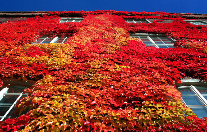 Marknaden i oktober