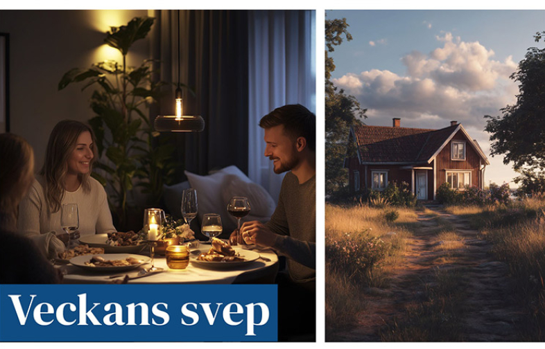 Veckans svep: få unga betalar hemma och skatt i semesterkommuner
