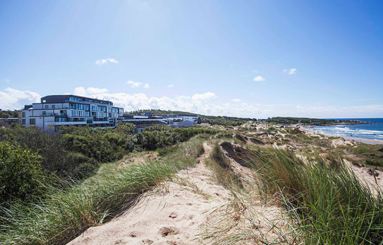 Årsmöte 2026: Kallelse/dagordning och propositioner är publicerade