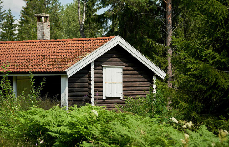 Svenska Dagbladet: “Stugdrömmen allt mer avlägsen – kan ta 50 år”